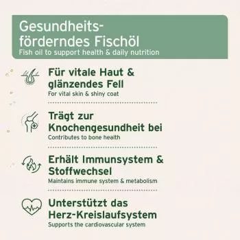 Lachsöl Omega 3